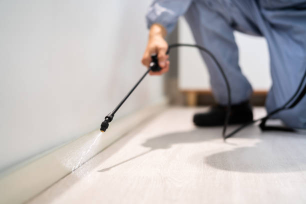 Licensed Fumigation Services service in Wolfdale, PA - Nex Pest Control