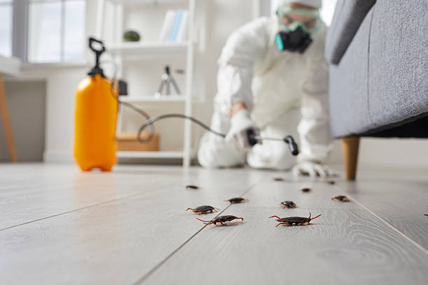 Trusted Fumigation Services service in Wolfdale, PA - Nex Pest Control