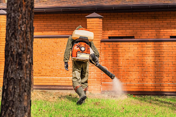Trusted Cockroach Control service in Wolfdale, PA - Nex Pest Control